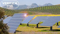 Del olivo a la placa solar: análisis del cambio de uso del suelo agrícola en España