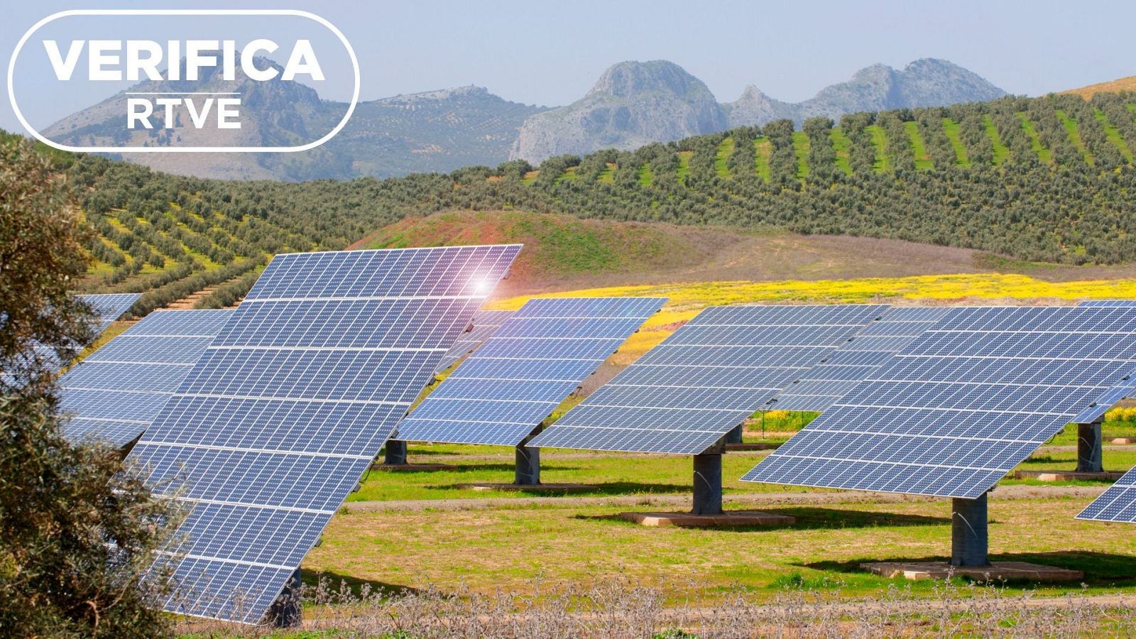 Olivar y energía fotovoltaica, un análisis del cambio de uso del suelo agrícola en España