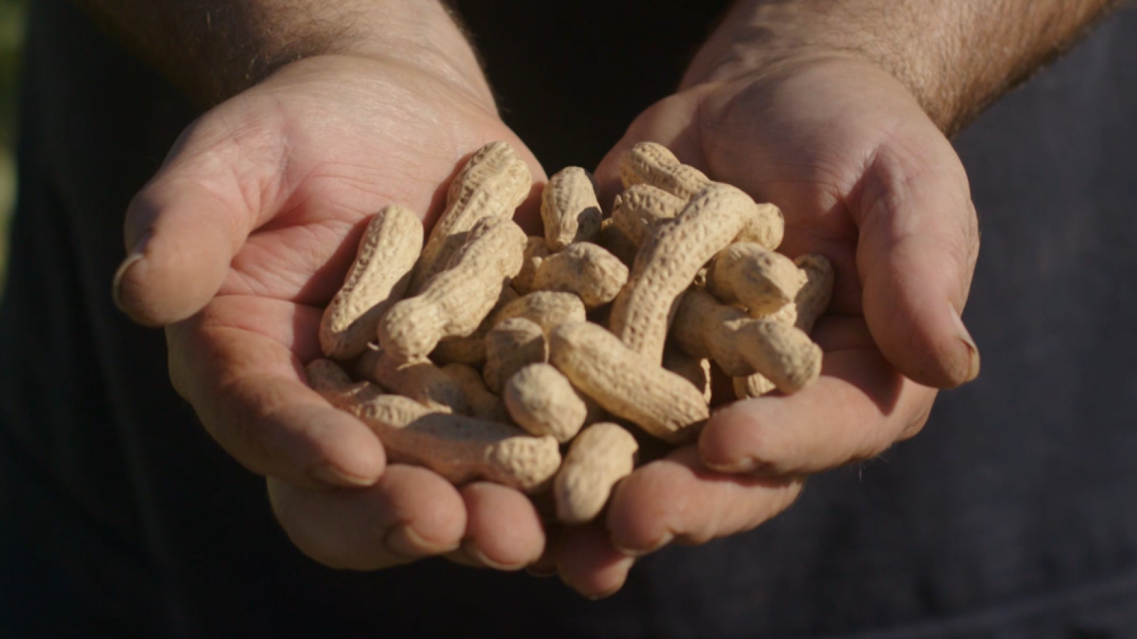 Este producto valenciano está casi extinguido