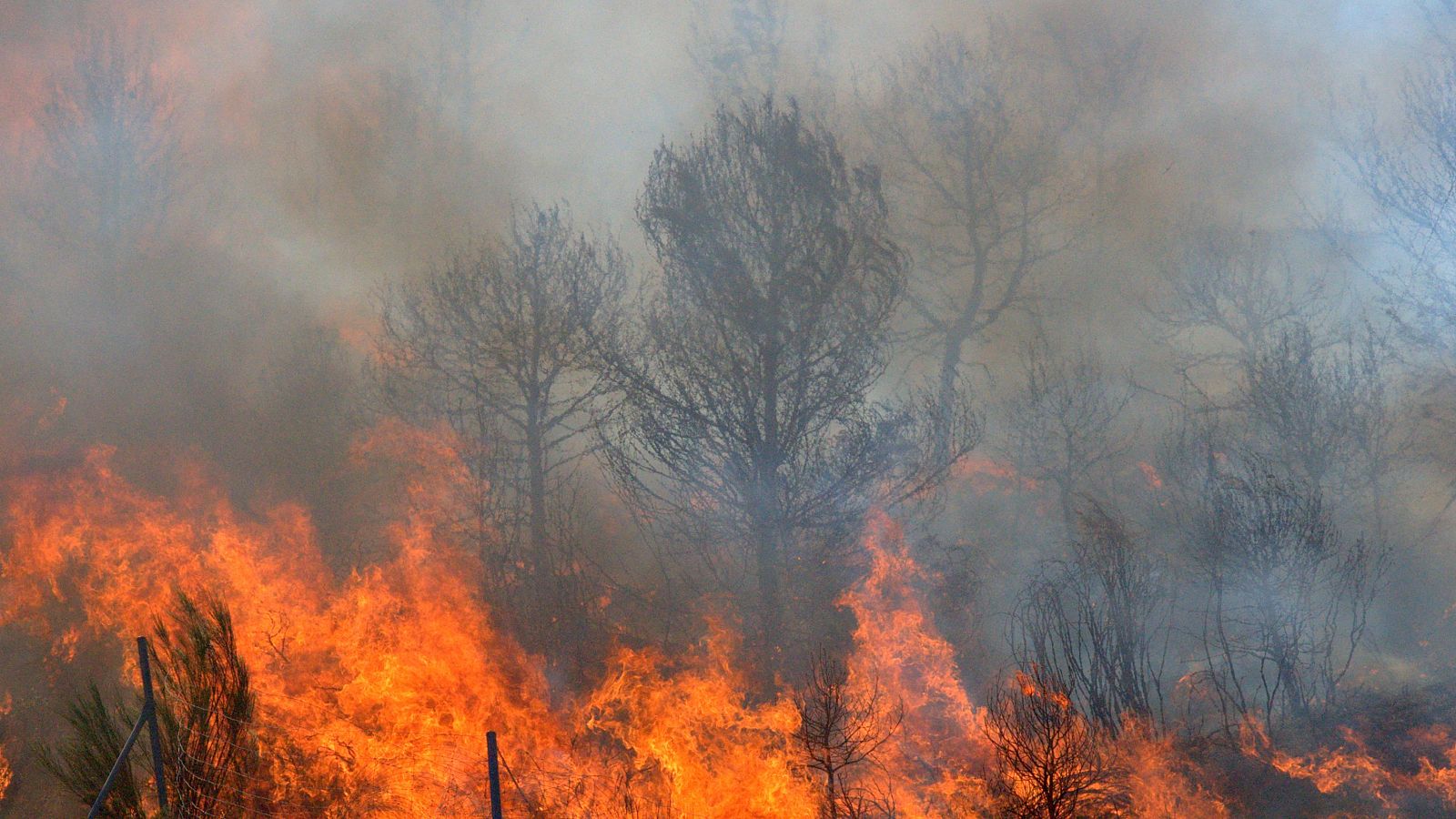 Interior adelanta al próximo 1 de junio el inicio de la campaña estatal estival contra los incendios forestales