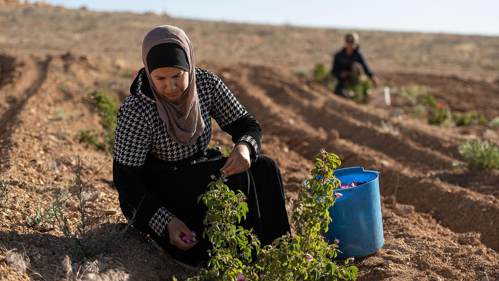 Estados Unidos oficializa el levantamiento de las sanciones contra Siria