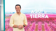 'Aquí la Tierra' celebra su 11º aniversario con un especial desde el Parque Nacional de Doñana