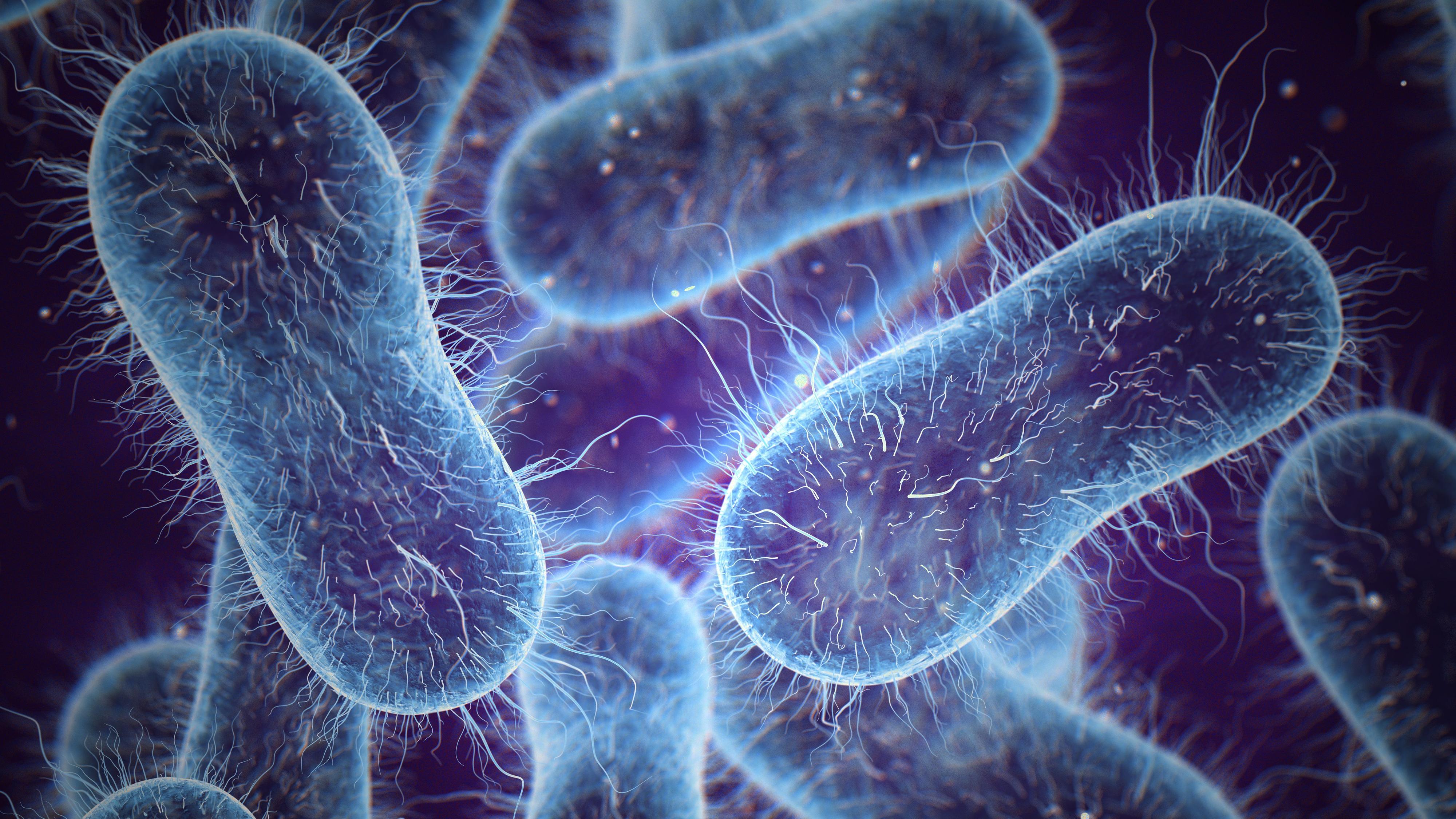 Microbios Buenos Garantizar Alimentos Seguros Sin Abusar De Los