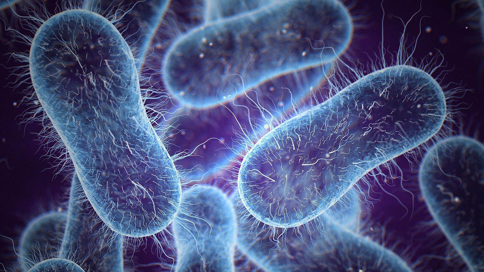 Garantizar la seguridad alimentaria sin abusar de antibióticos y otros químicos