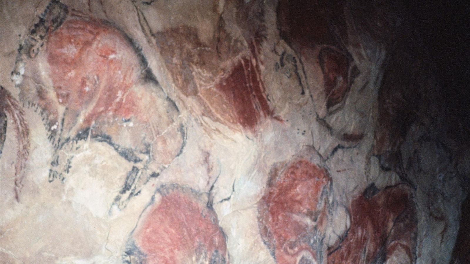 La Cueva de Altamira ofrece una visita a 20 vecinos de Santillana de 18 años