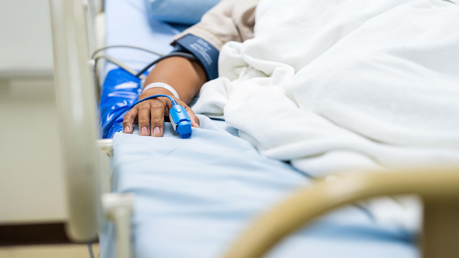 Un hombre muere en Valencia por rabia tras ser atacado por un perro