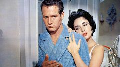 Un clásico de Paul Newman, una de tiburones y la historia real de Maureen Kearney: Películas de estreno de la semana del 9 de junio