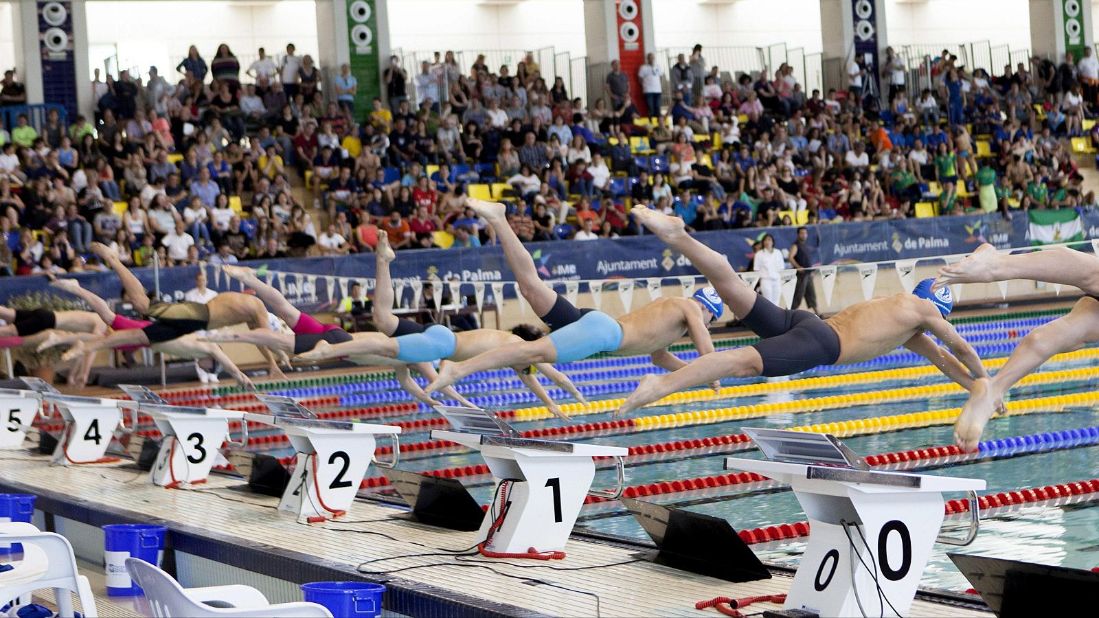 Salida de la prueba de 800m libres masculinos esta tarde en las piscinas Municipales de Son Hugo de la capital balear, donde se celebra el XV Campeonato de España "Open" Absoluto de Natación - Primavera P50.
