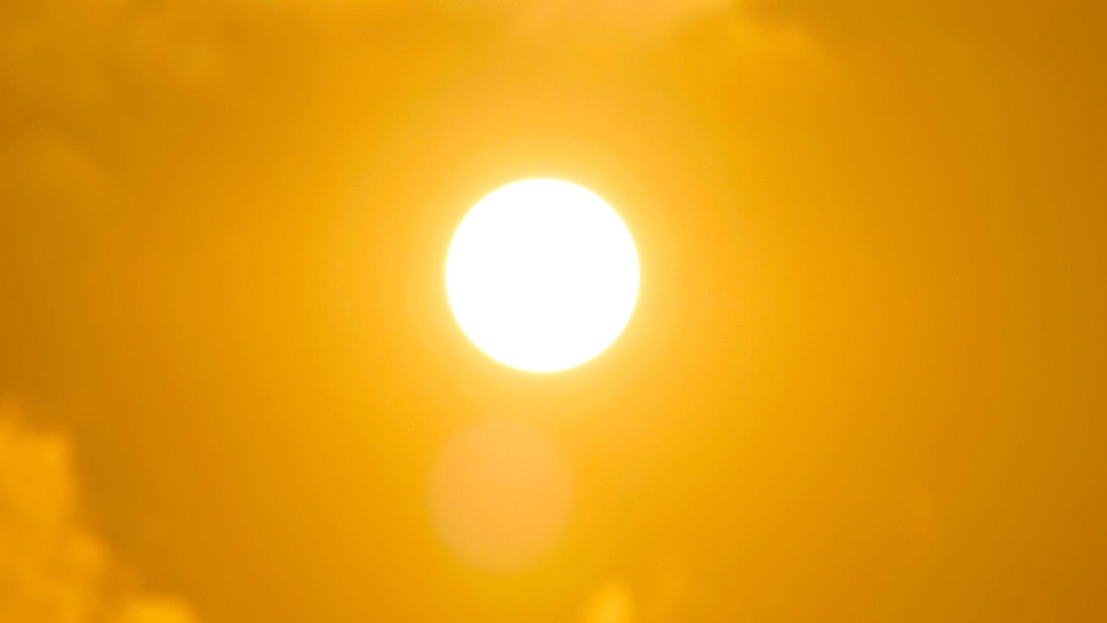 Cómo reconocer un golpe de calor