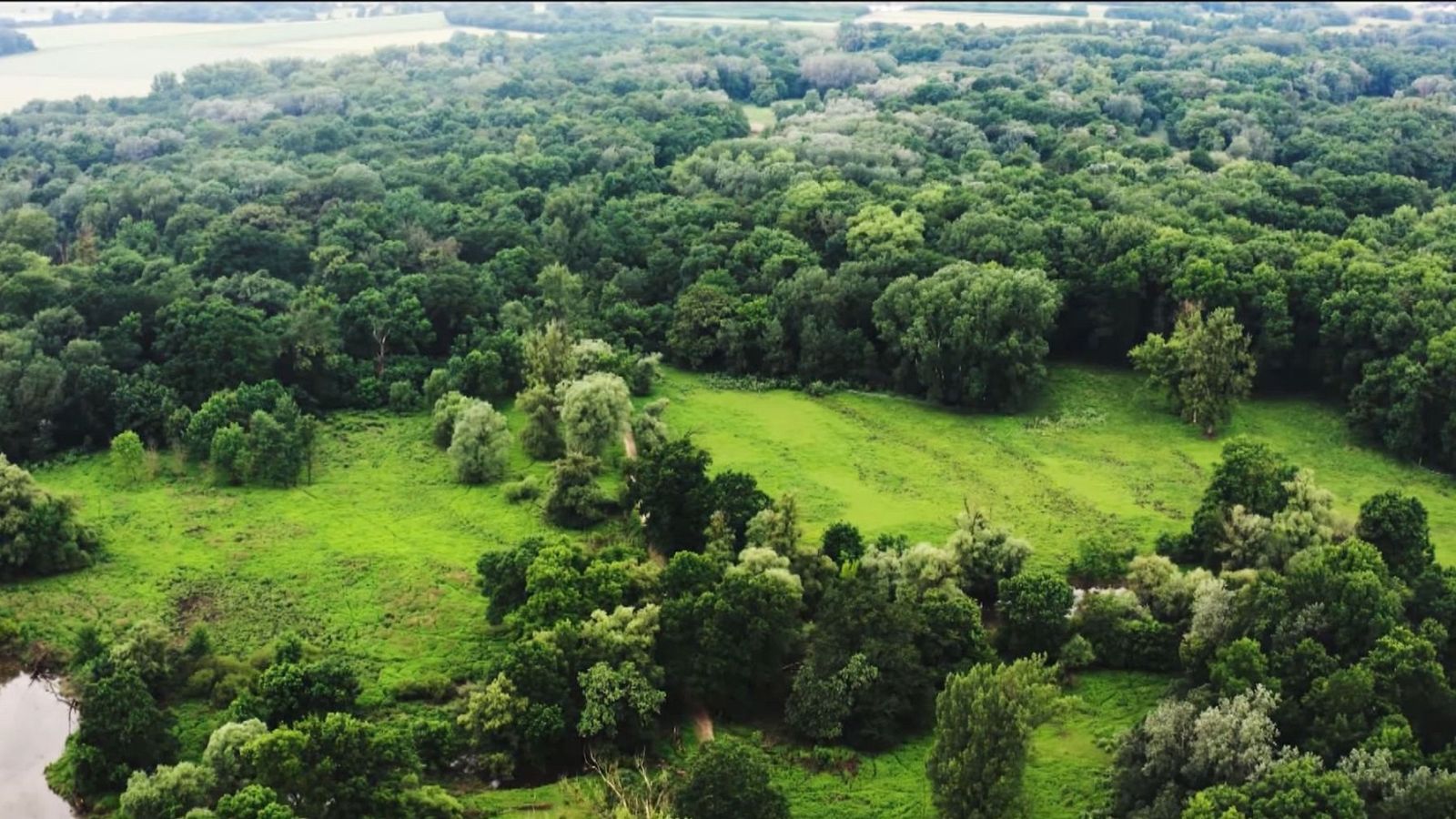 La restauración de la naturaleza en Europa