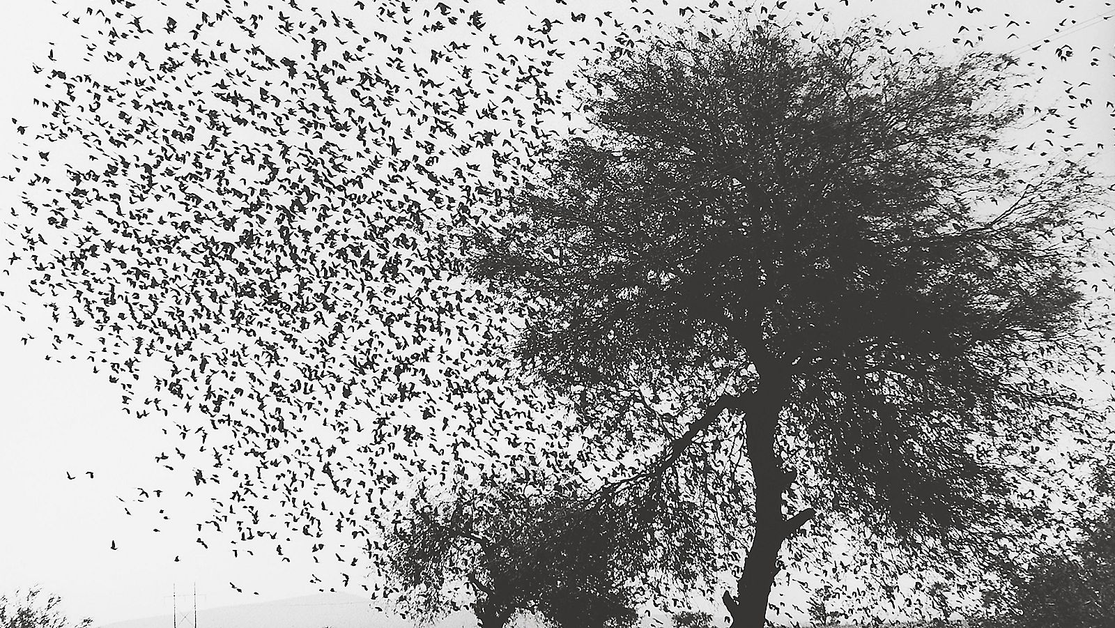Graciela Iturbide en 'Cuando habla la luz' refleja un México mágico