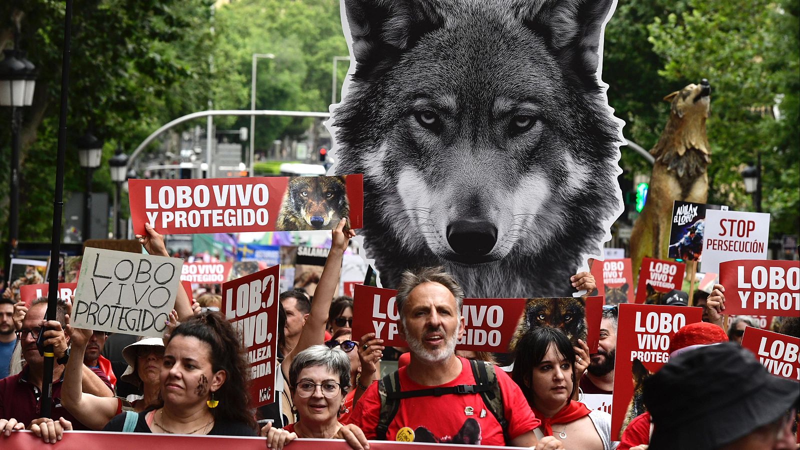 Manifestación en favor de la defensa del lobo en Madrid.