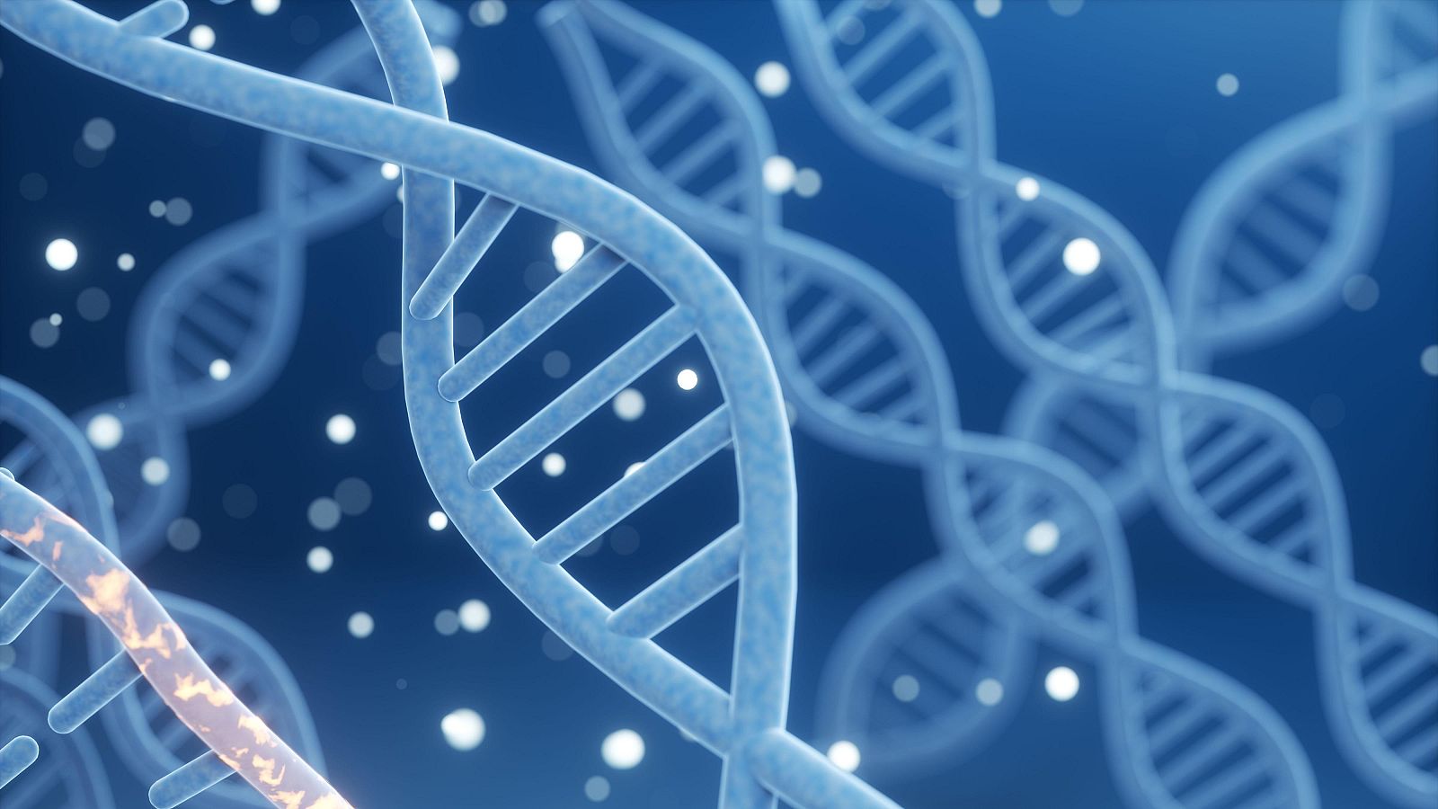 El CNIO descubre biomarcadores que predicen qué pacientes no responderán a la quimioterapia contra el cáncer