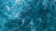Un estudio confirma el cambio de color en aguas oceánicas: son más azules en el ecuador y más verdes en los polos