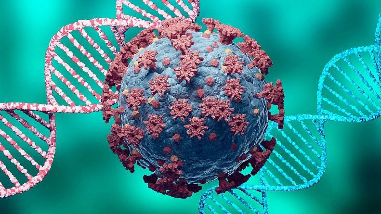 Com cuidar les defenses: l’ABC de la immunitat segons Alfredo Corell