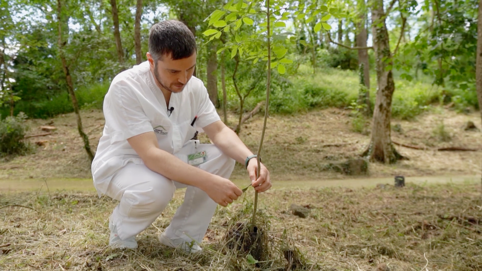 Ambientes contaminados, infancias enfermas: la urgencia de actuar