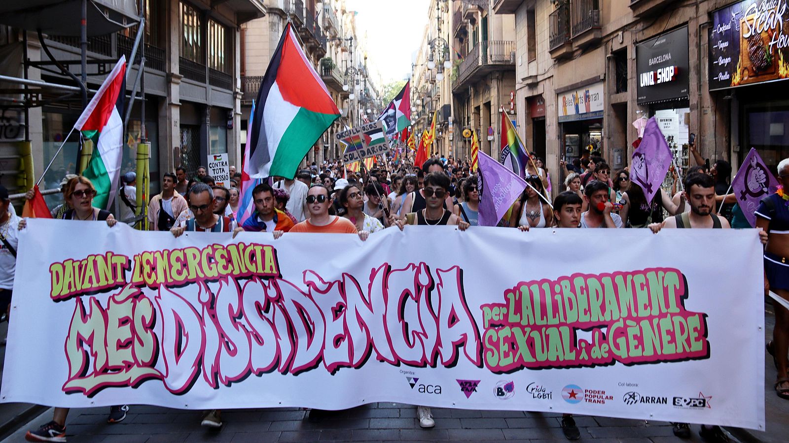 Pancarta de la manifestació que reivindica la dissidència pel 28-J