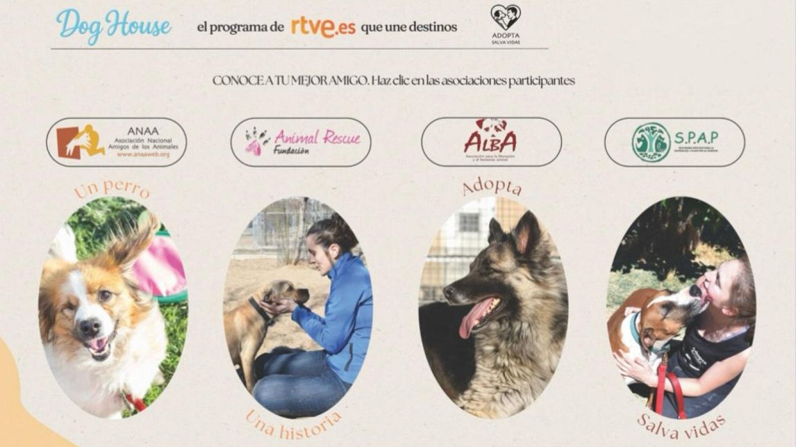 Adopta con las protectoras de 'Dog House'