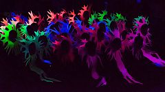 Fotciencia elige las siete mejores fotos científicas de 2017