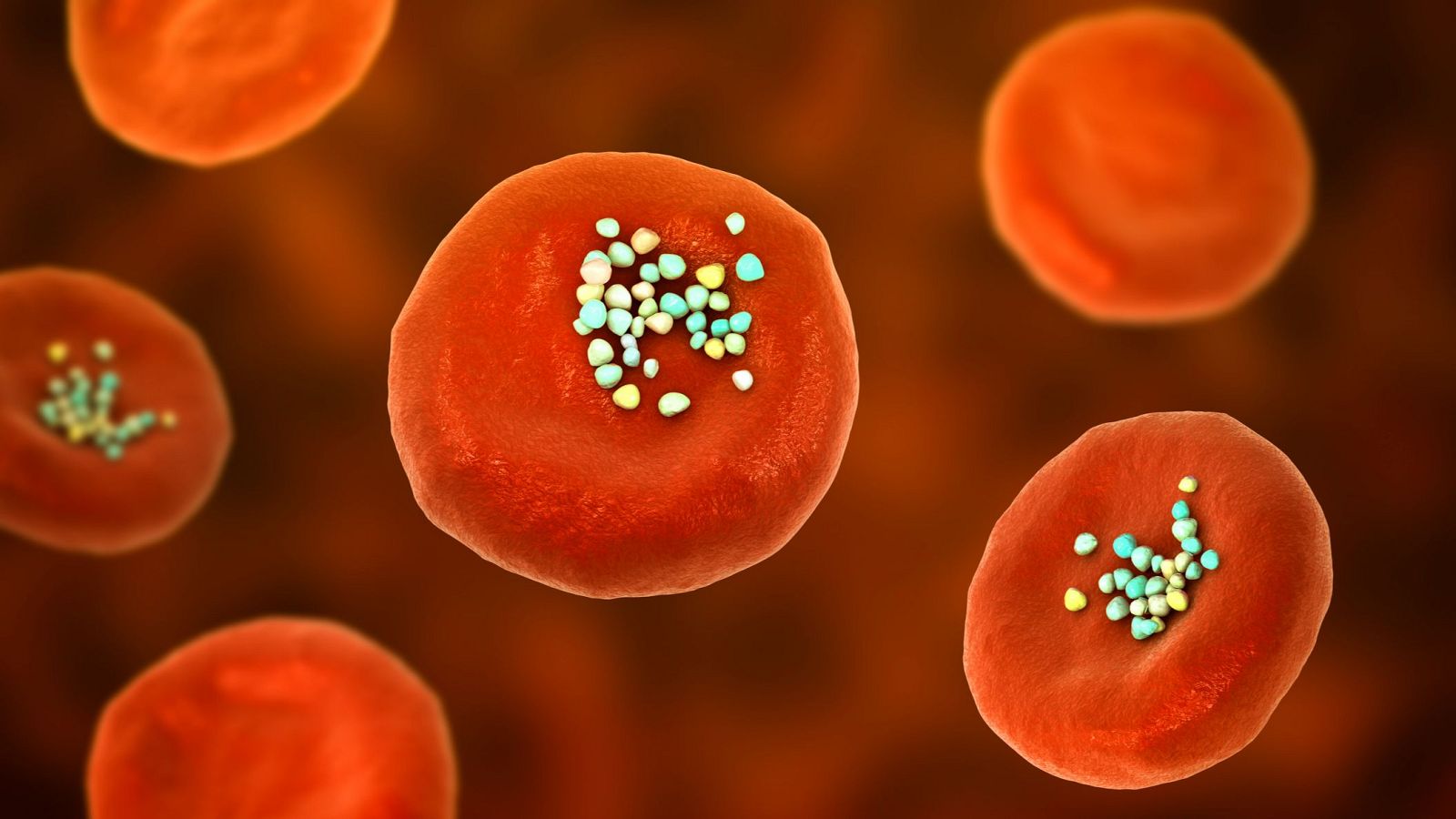 Los microplásticos se encuentran ya en el semen y en el líquido folicular