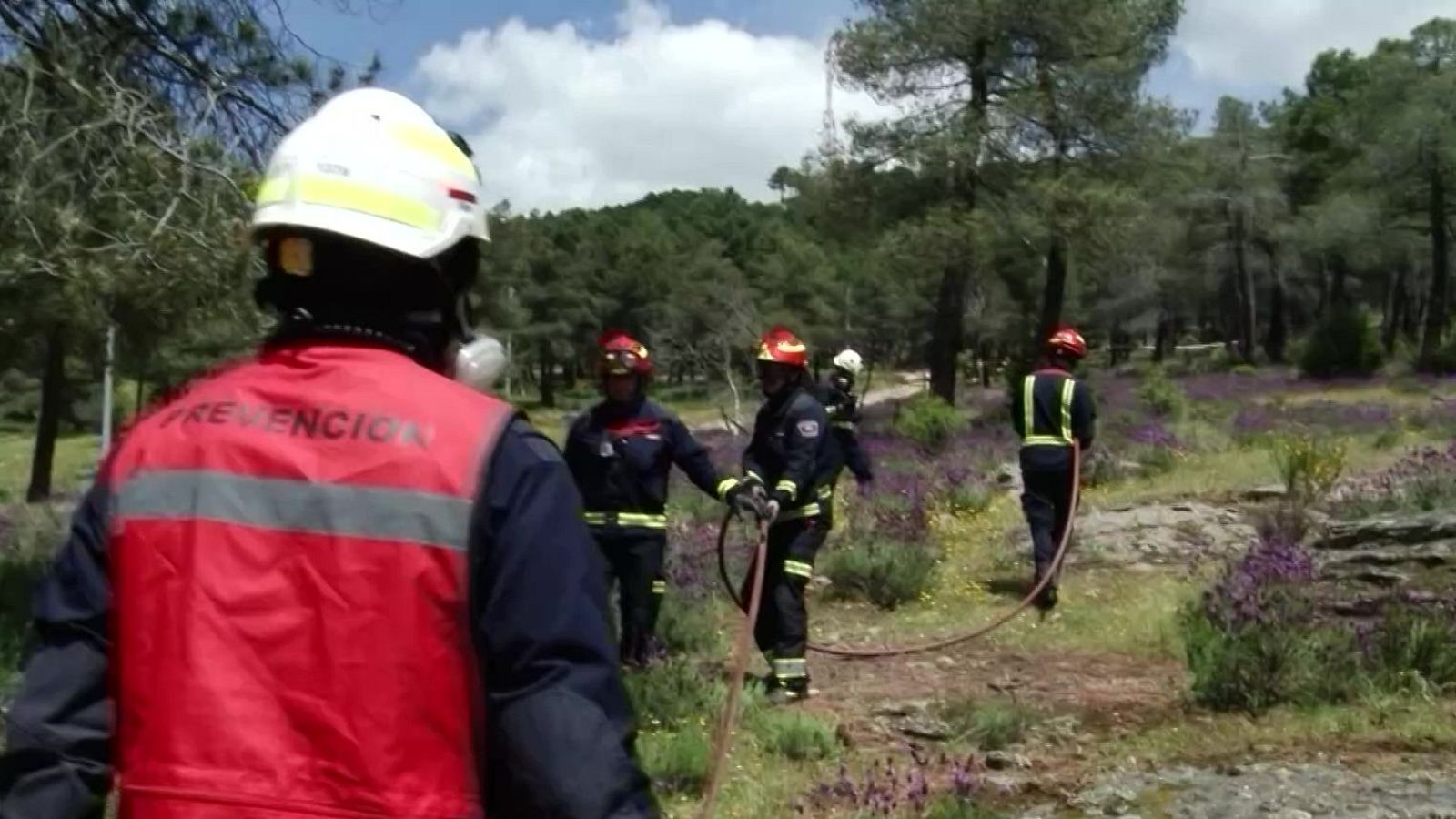 Simulacro de extinción de incendios forestales: bomberos con uniformes oscuros y cascos blancos despliegan mangueras en terreno con vegetación baja. Un chaleco rojo con la palabra "PREVENCIÓN" es visible.