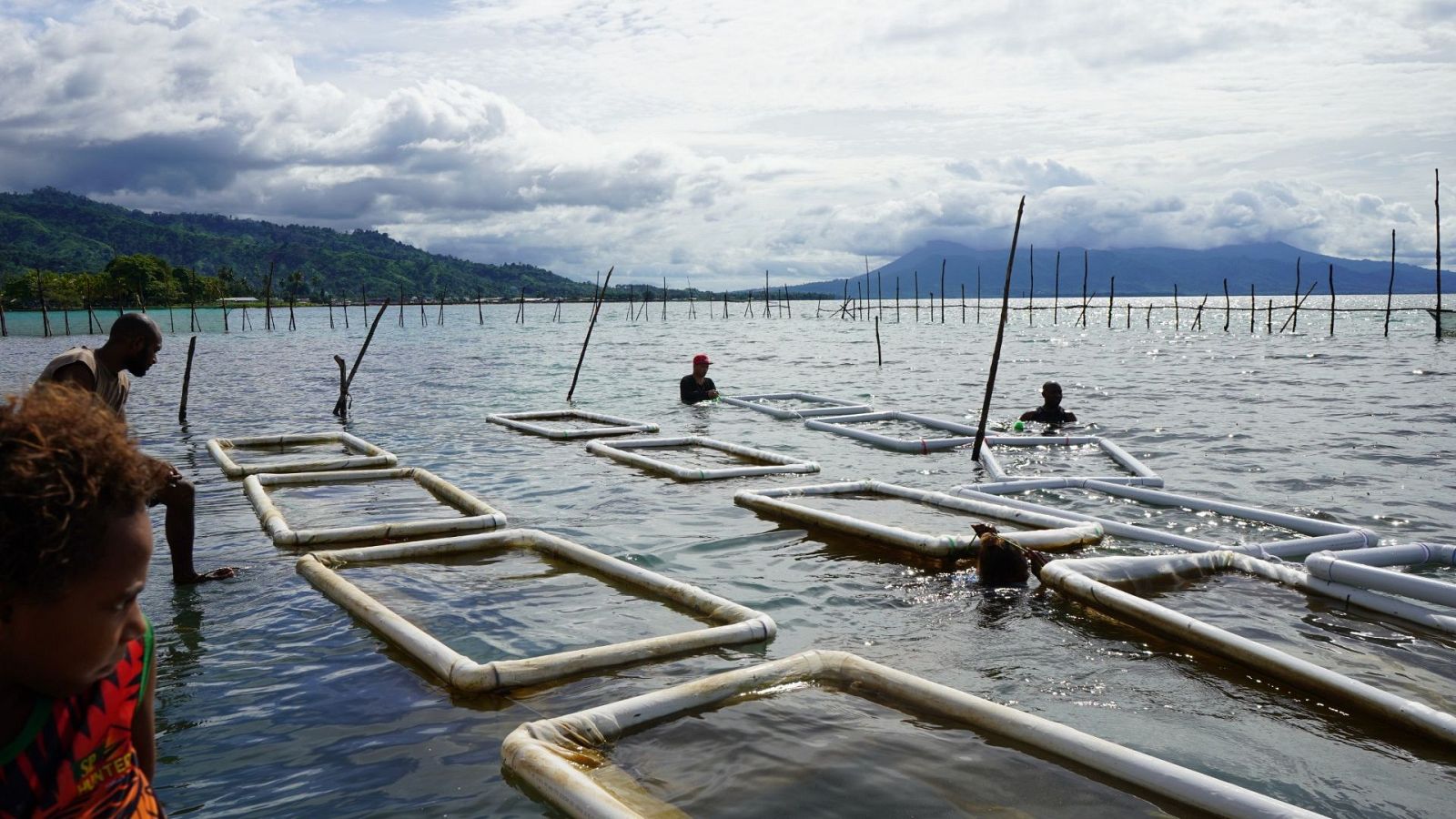 Las islas del Pacífico se hunden por el cambio climático
