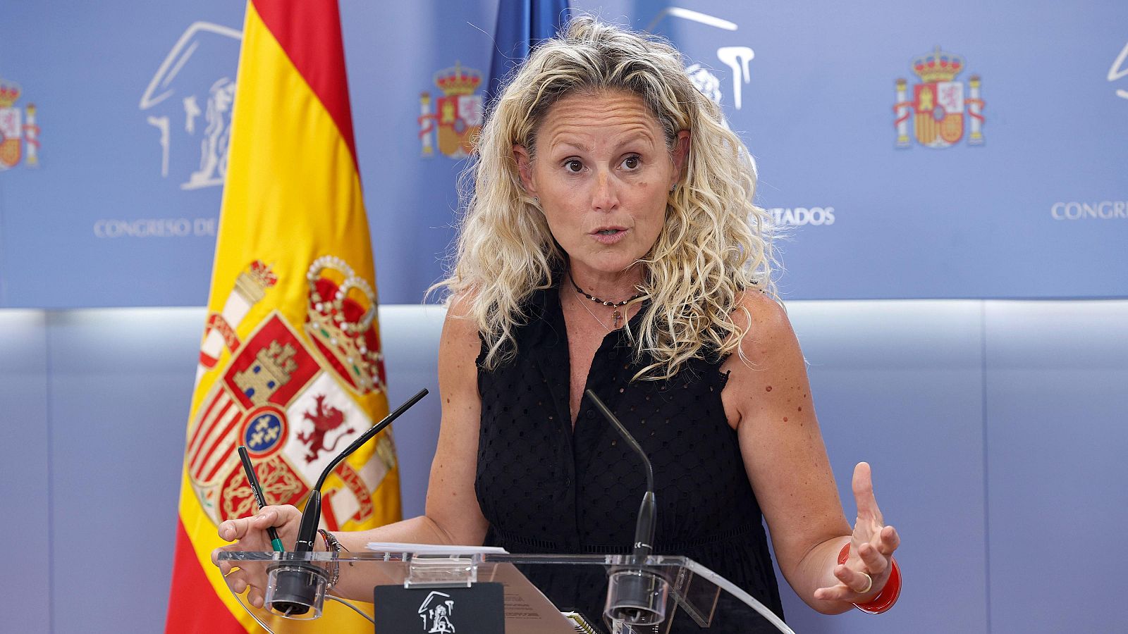 La socialista Montserrat Mínguez durante una rueda de prensa en el Congreso