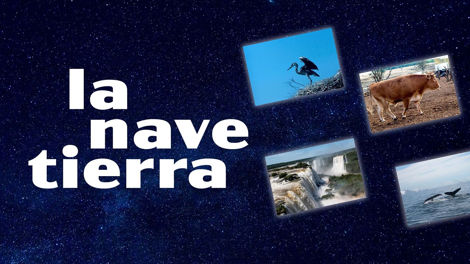Promoción de la serie "La nave Tierra": título sobre fondo estrellado y cuatro escenas: ave, vaca, cascada y ballenas, simbolizando la biodiversidad terrestre.