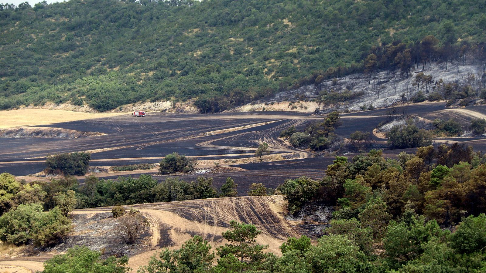 Camps cremats pel foc de Sant Pere Sallavinera | ACN
