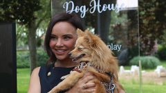 'Dog House': ¿en qué consiste el nuevo reality de adopción de perros de RTVE?