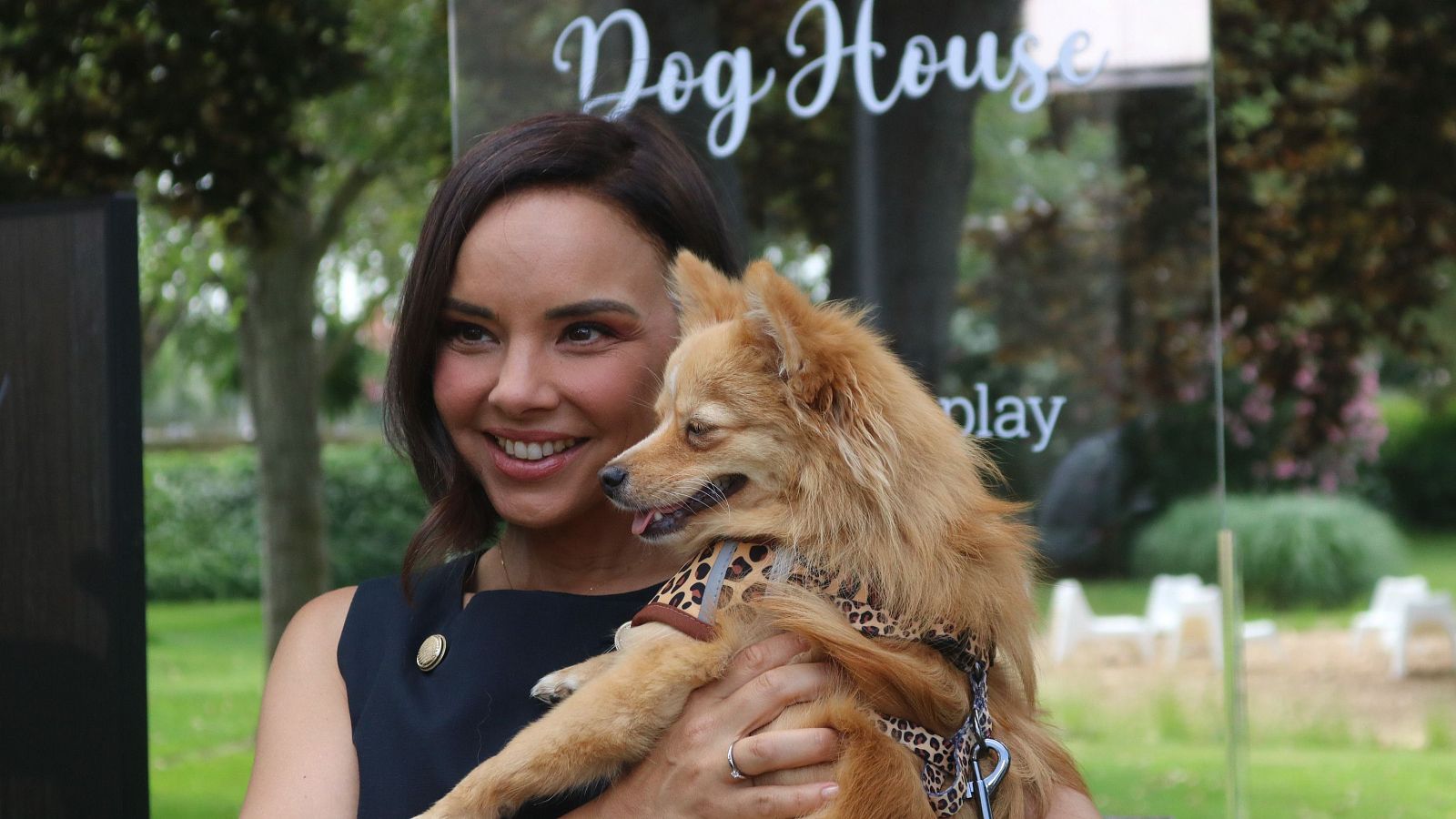 'Dog House': ¿en qué consiste el nuevo reality de adopción de perros de RTVE?