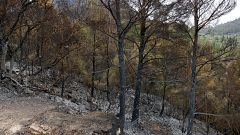 Jornada de dol per la mort d'un tècnic de Bombers mentre treballava en les tasques d'extinció de l'incendi de Paüls