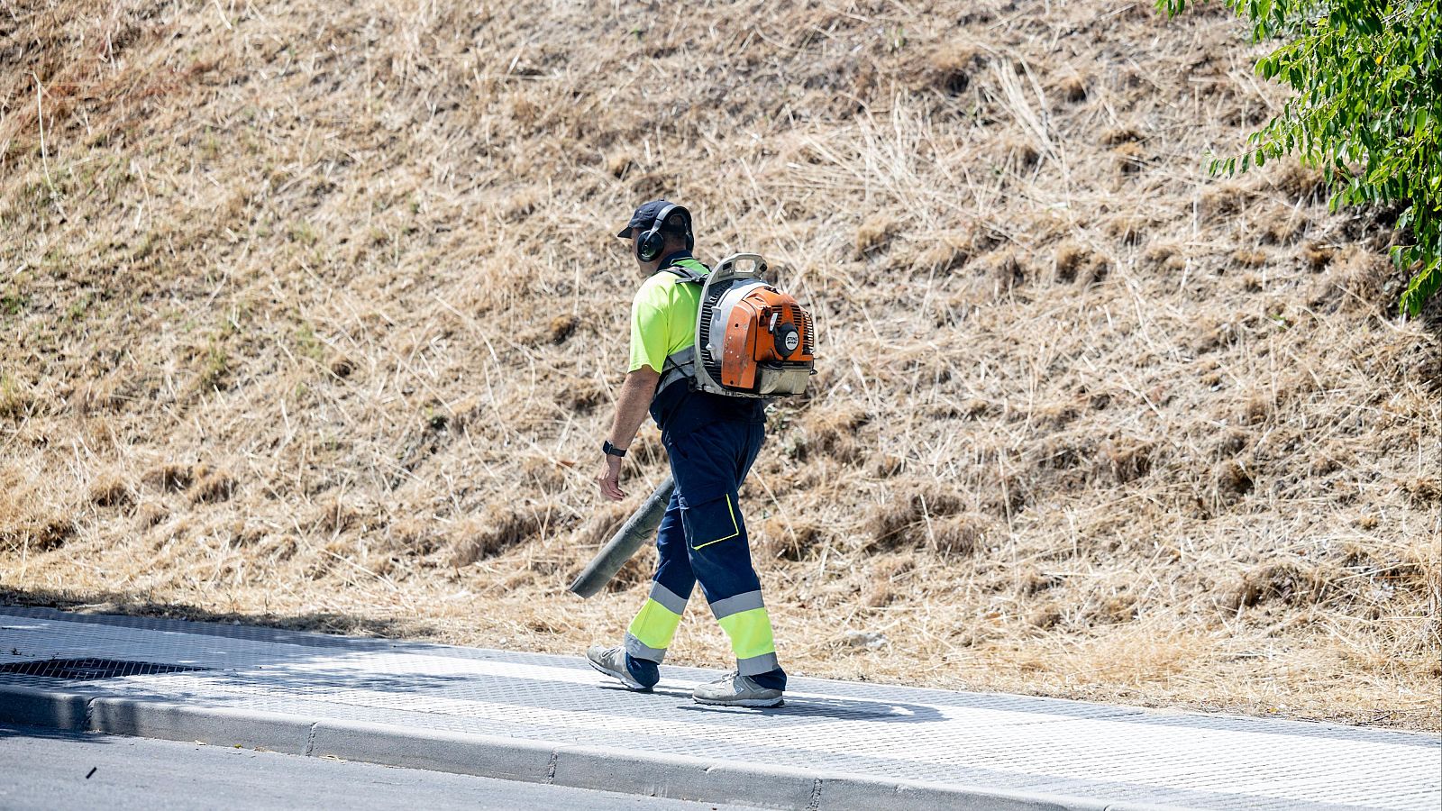 Mueren 297 trabajadores en accidentes laborales hasta mayo, siete menos que en 2024