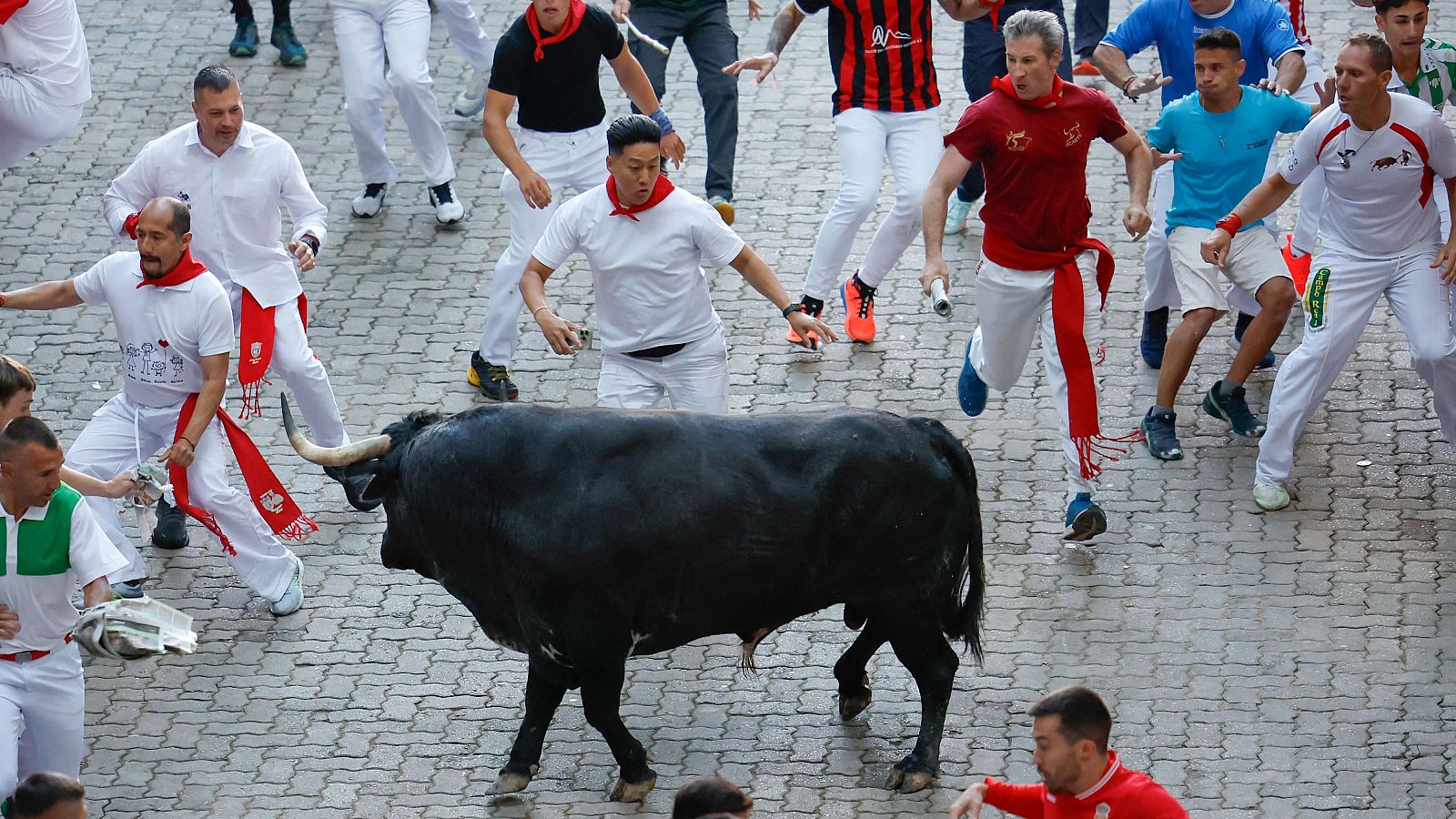 oro negro en un encierro, rodeado de corredores con indumentaria blanca y pañuelos rojos.  Calle empedrada.