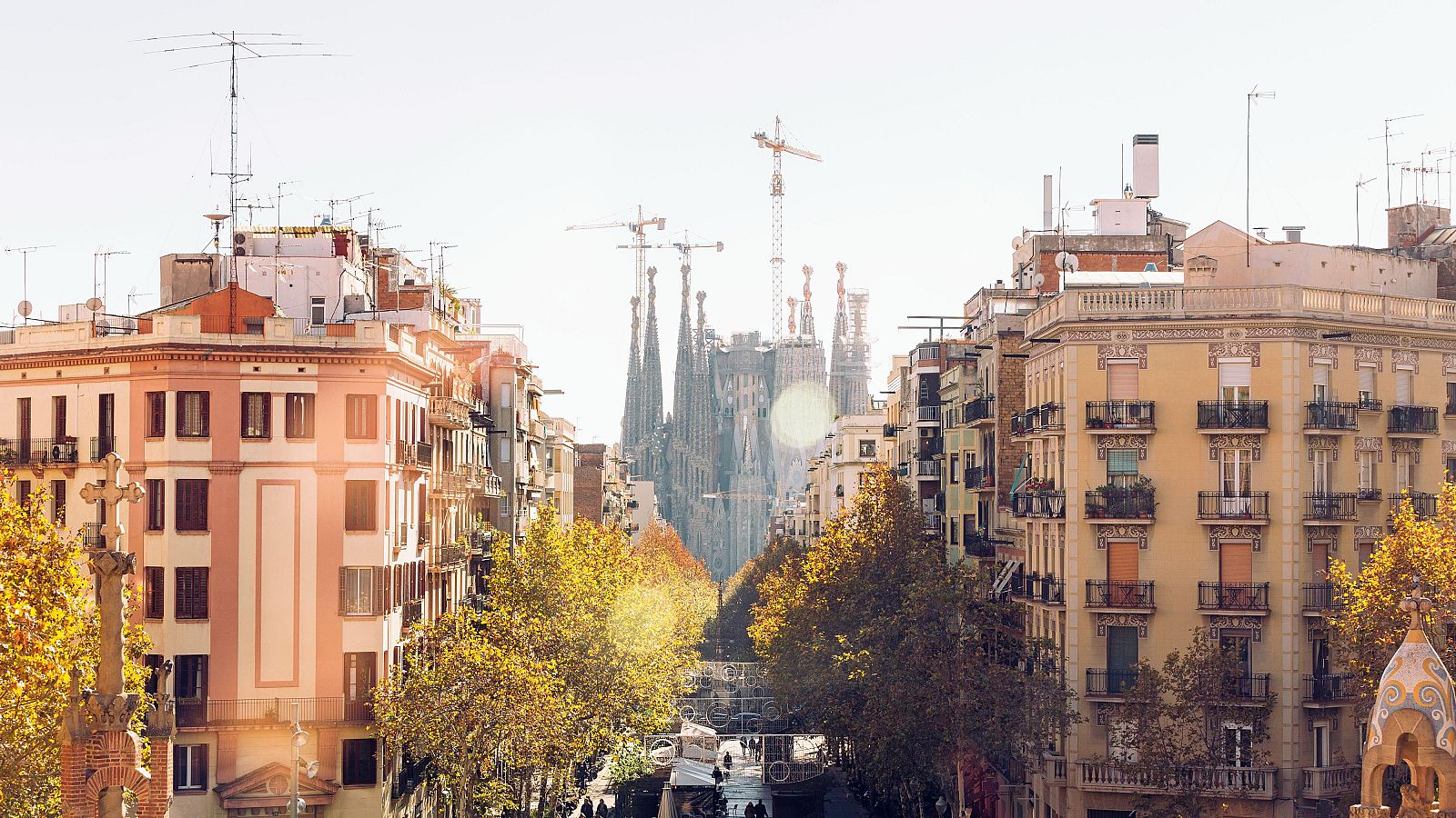 Vivienda acuerda con Airbnb la retirada de los anuncios de pisos turísticos que no cuentan con un código de registro