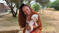 ‘Dog House’, el programa de Chenoa, conquista las redes sociales y despierta un aluvión de historias de adopción