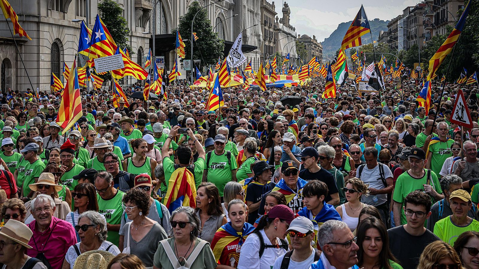 Assistents a la mobilització de Barcelona convocada per les entitats independentistes per la Diada.