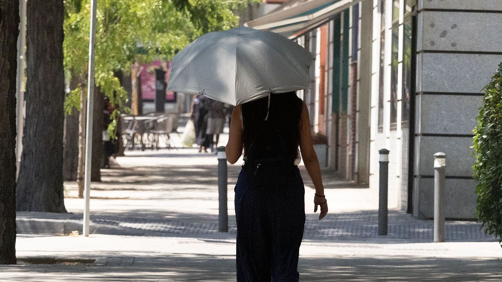 "Clara tendencia al calentamiento", según el último informe del Observatorio de la Sostenibilidad.