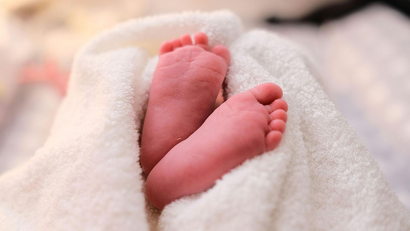 Pies de bebé recién nacido envueltos en una suave toalla blanca.  Imagen delicada que evoca ternura.