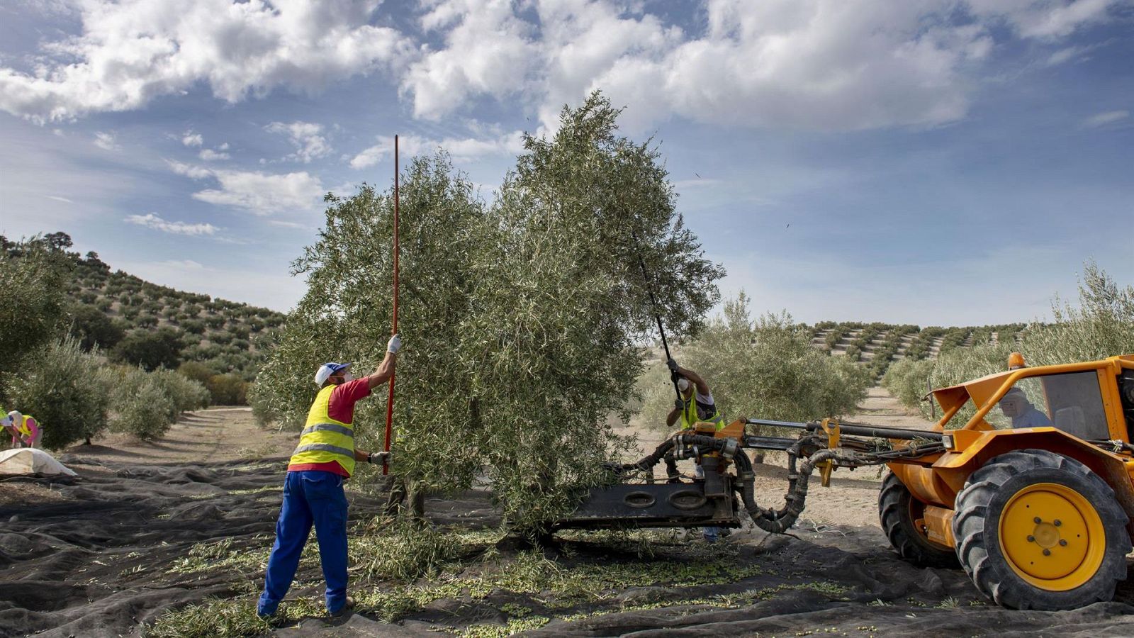 Bruselas asigna a España 79.900 millones para la PAC y los fondos de cohesión a partir de 2027, casi un 20% menos