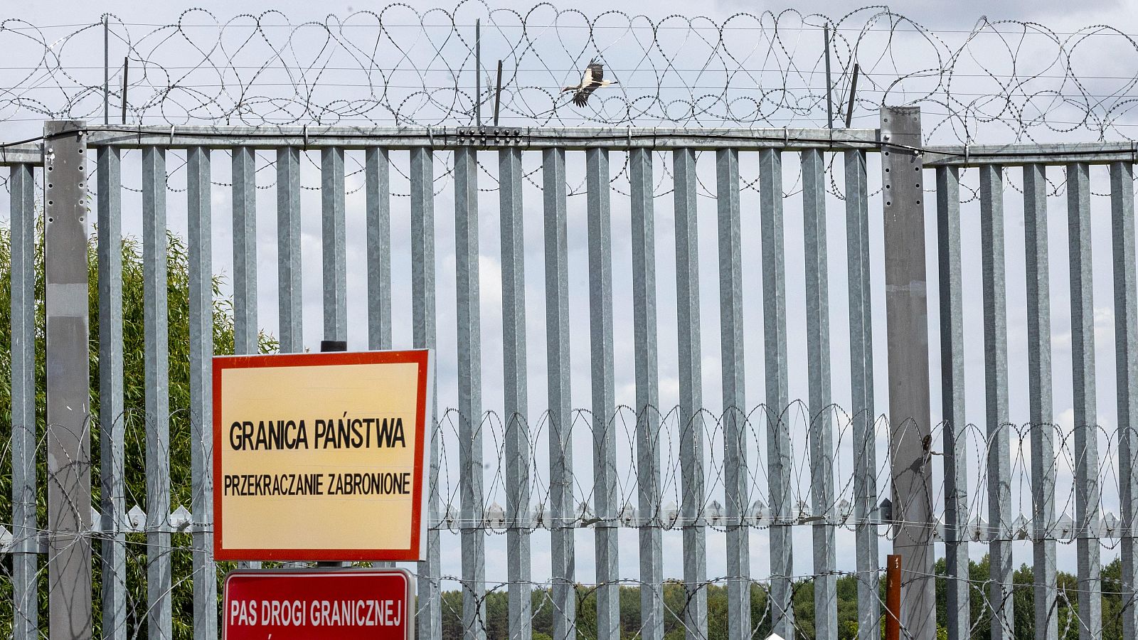 Agencia de Derechos Fundamentales de la UE urge proteger los derechos ante la presión migratoria de terceros países