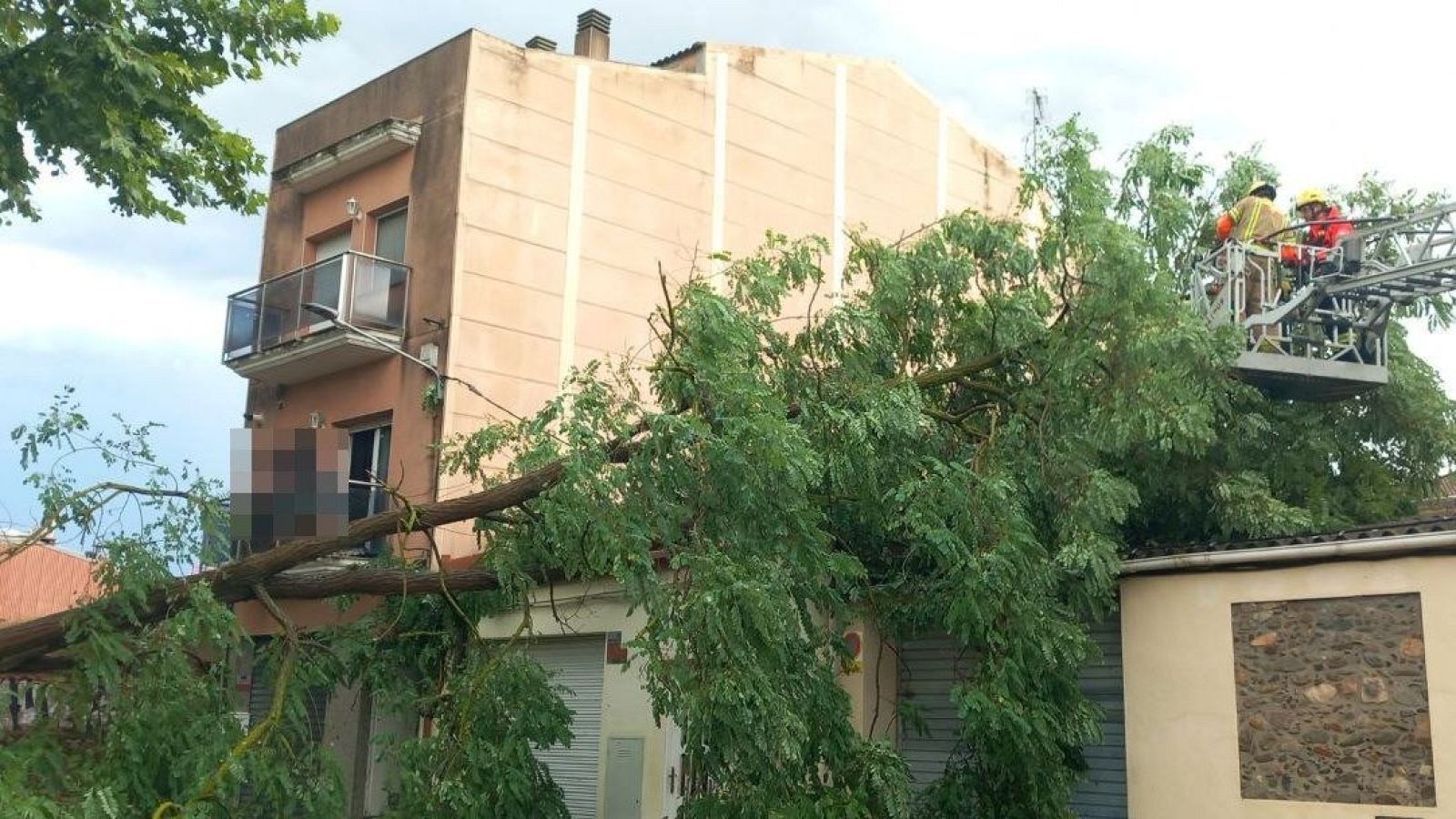 Els bombers intenten treure d'una teulada un arbre abatut pel temporal a Cardedeu