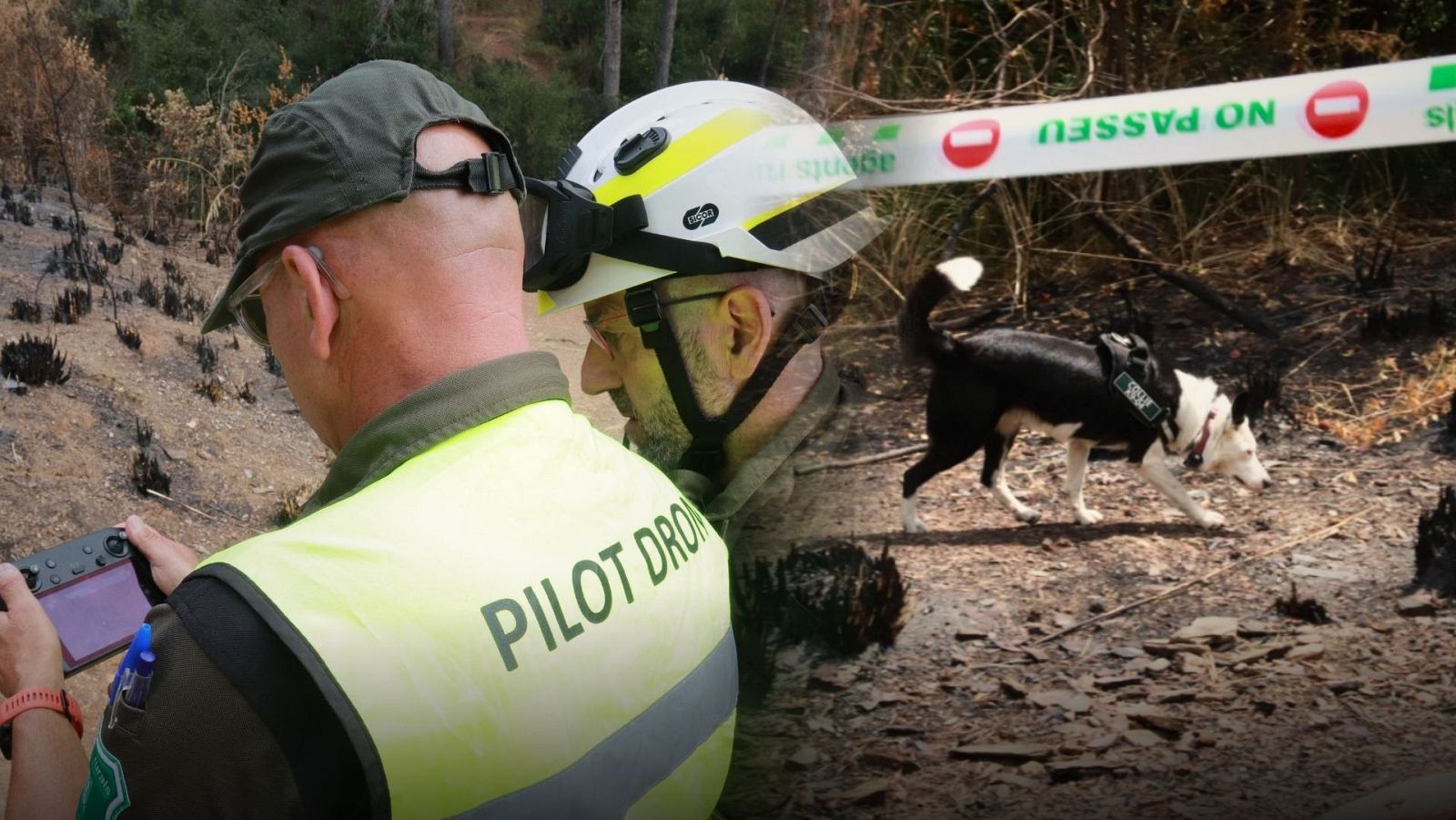 La unitat de drons i la unitat canina del cos dels Agents Rurals