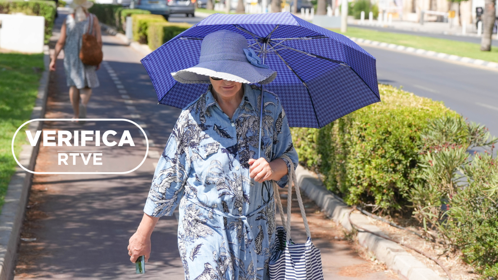 ¿Cómo se preparan las ciudades para sobrevivir al clima extremo?