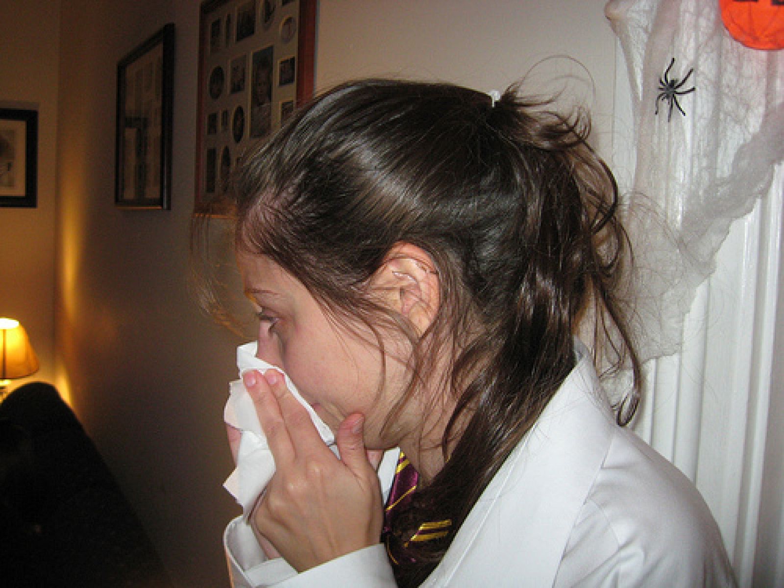 Campaña de la gripe 2009