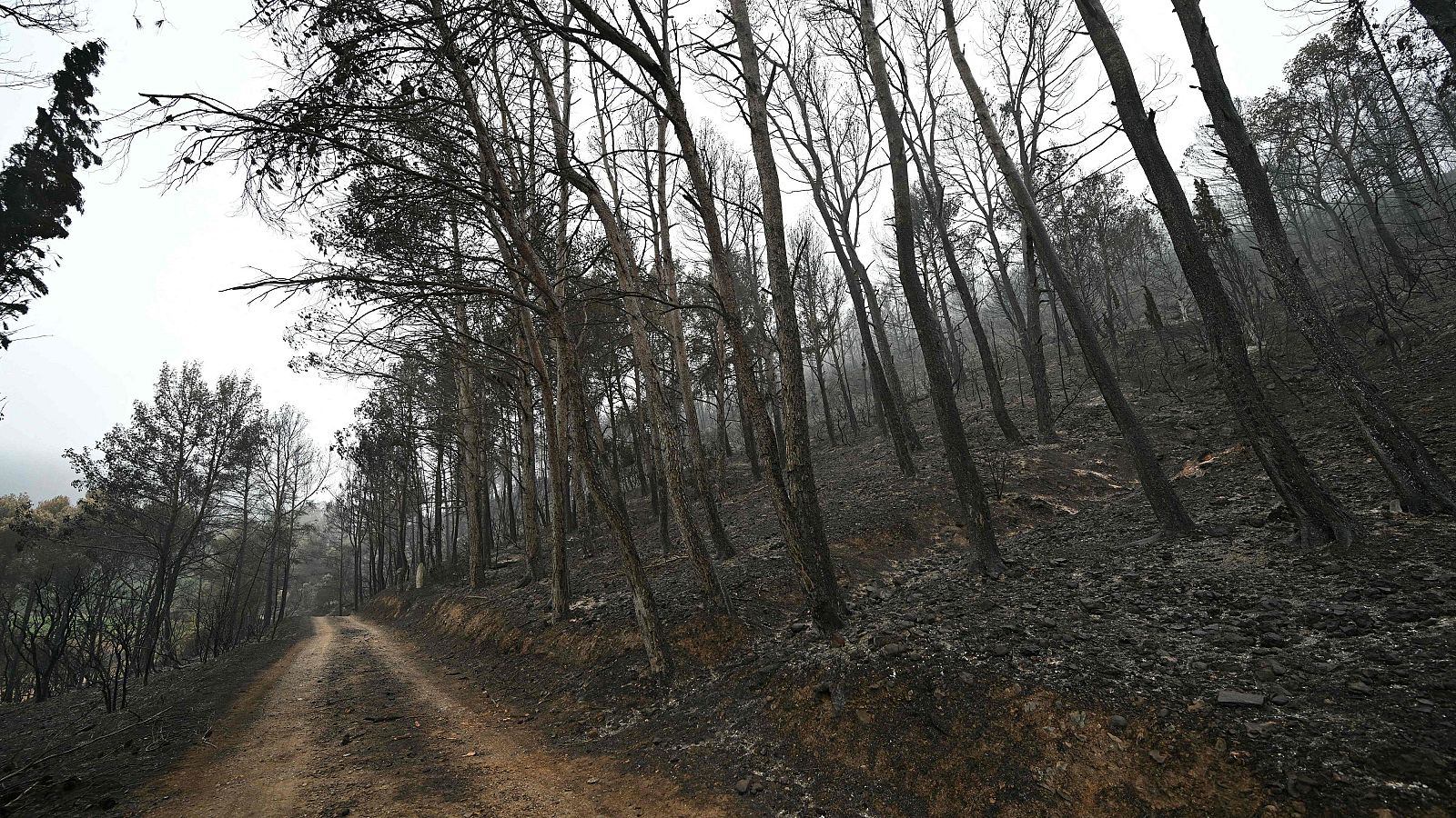 El incendio del sur de Francia, el mayor del país desde 1949