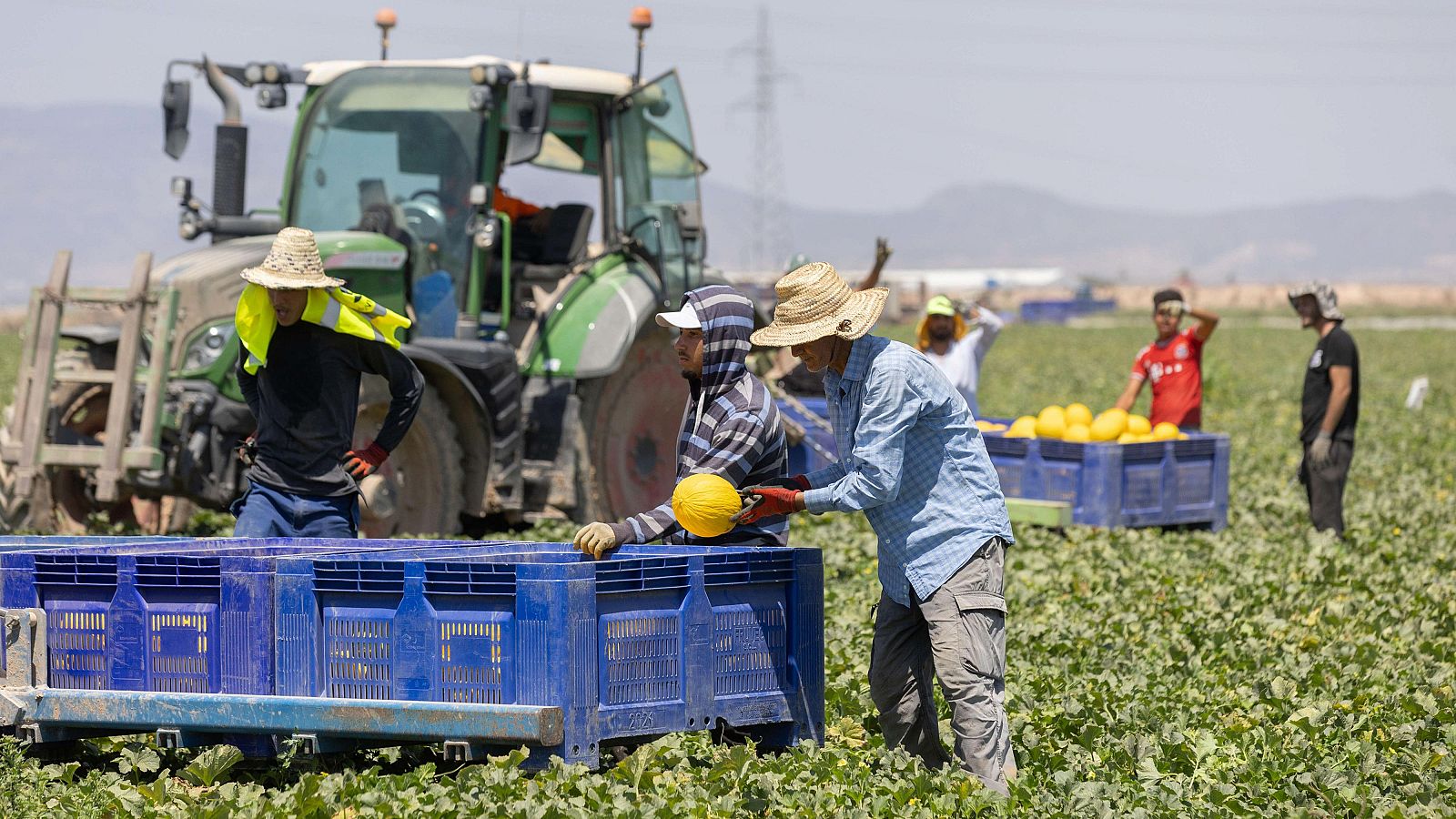 El calor y la vulnerabilidad de los migrantes en el trabajo
