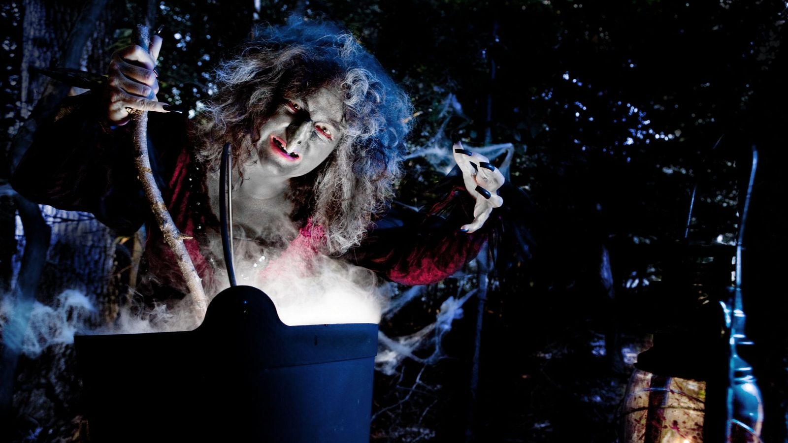 Bruja con atuendo oscuro realizando un ritual con un caldero humeante en un bosque.  Atmósfera misteriosa con telarañas en el fondo.