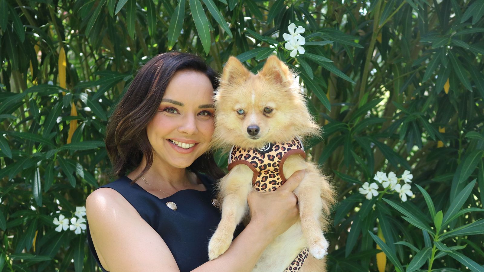 Las claves del nuevo capítulo de 'Dog House' con Chenoa: dónde y cuándo ver el sexto programa marcado por la ilusión, las dudas y los nuevos retos