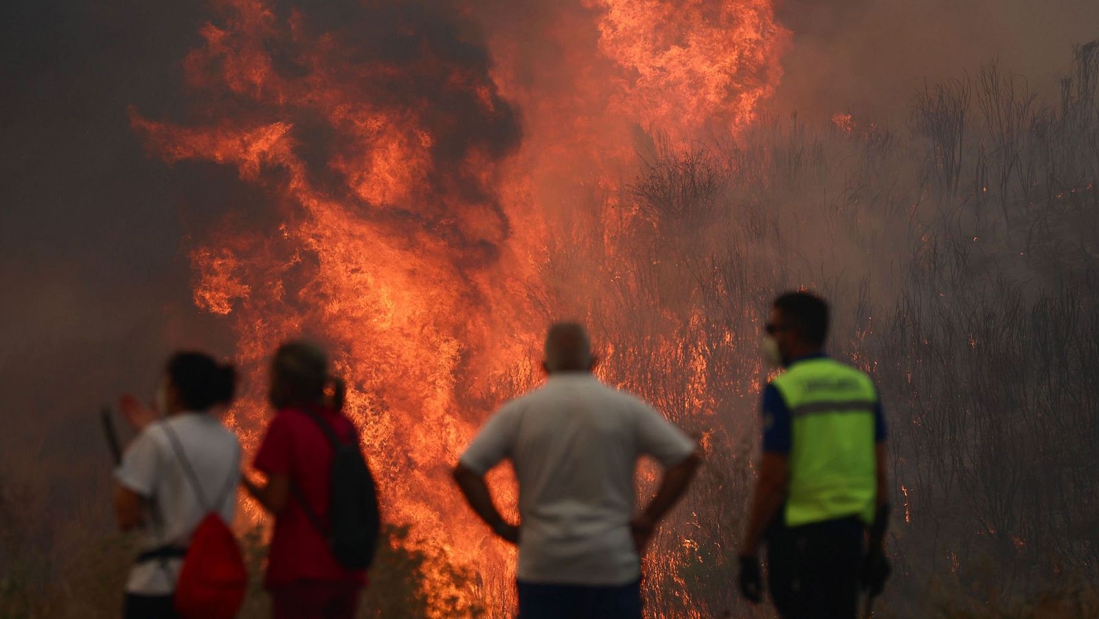 Varias personas luchan contra las llamas del incendio de A Gudiña (Ourense), este jueves.